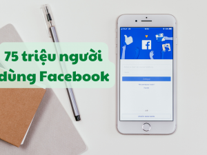 luong-nguoi-dung-facebook